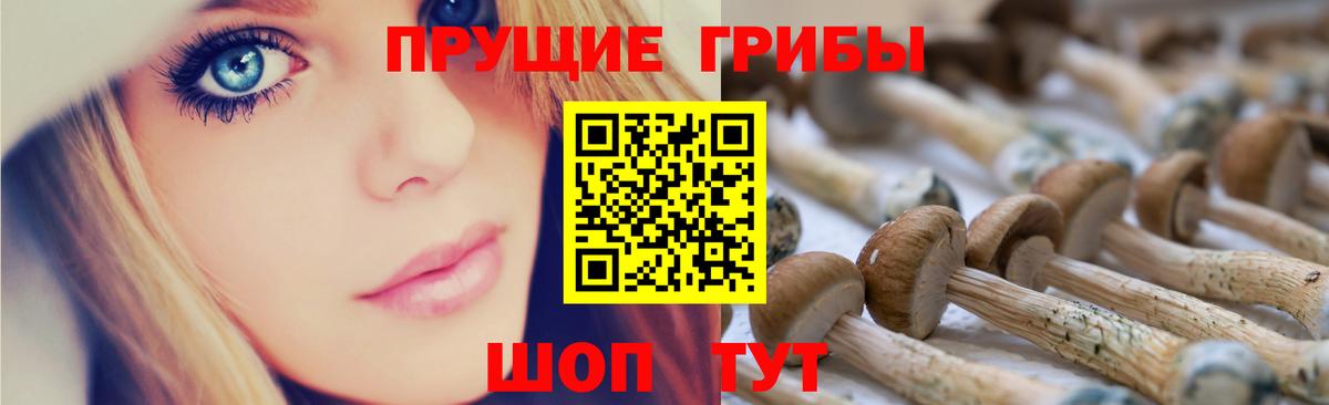 купить  сайты  Галлюциногенные грибы Cubensis  Вход с VPN  Курск 